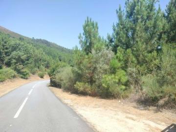 Terreno | Vila Real | 57 Hectares