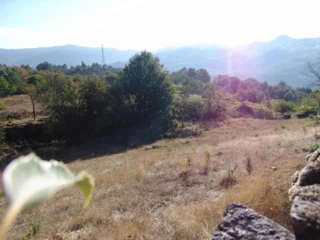 TERRENO VILARINHO DA SAMARDÃ