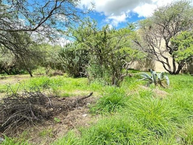 Terreno Villa de los Frailes