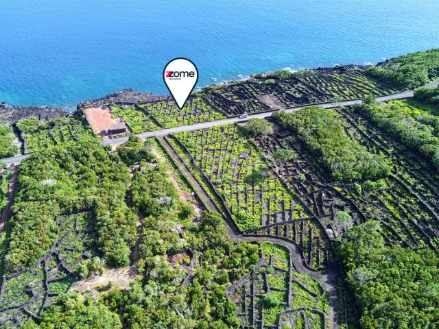 Terreno vinhedo com 1467 m², em São Caetano, na Ilha do Pico