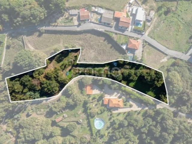 Terreno Vizela 7.000 m²