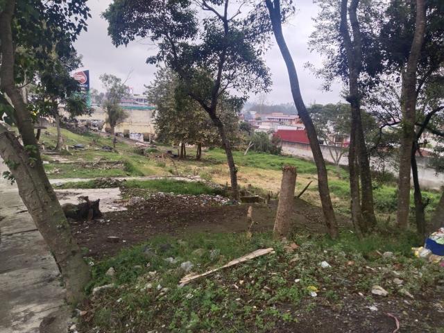 Terreno Xalapa