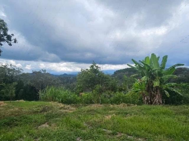 Terreno Xalapa
