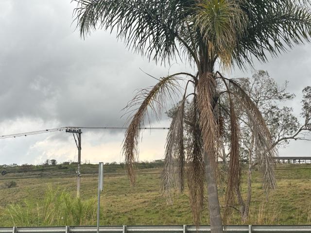 Terreno Xalapa