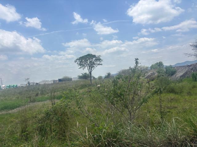 Terreno Xalapa