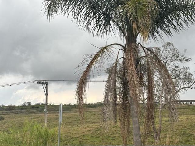 Terreno Xalapa