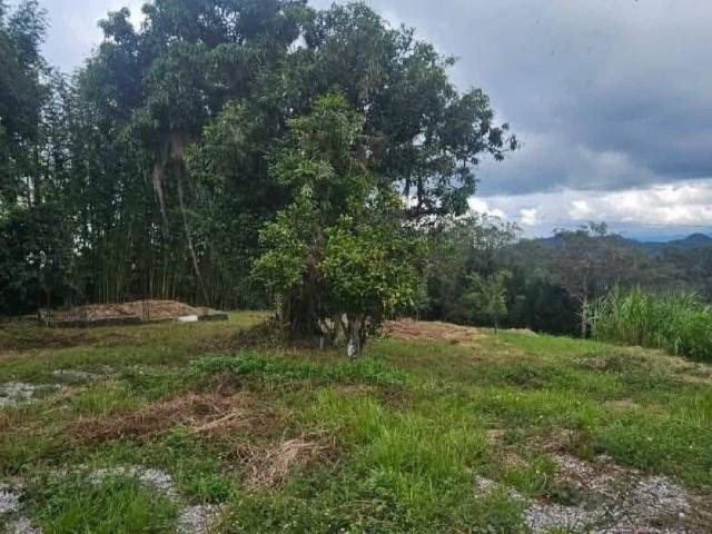 Terreno Xalapa
