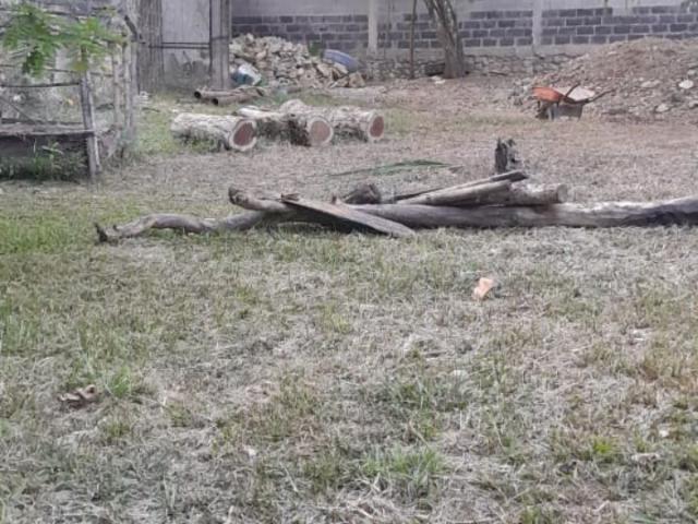 Terreno Xilitla