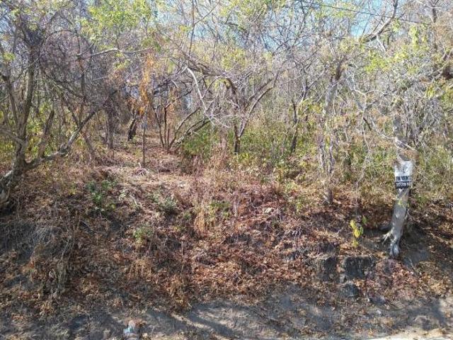 Terreno Xochitepec