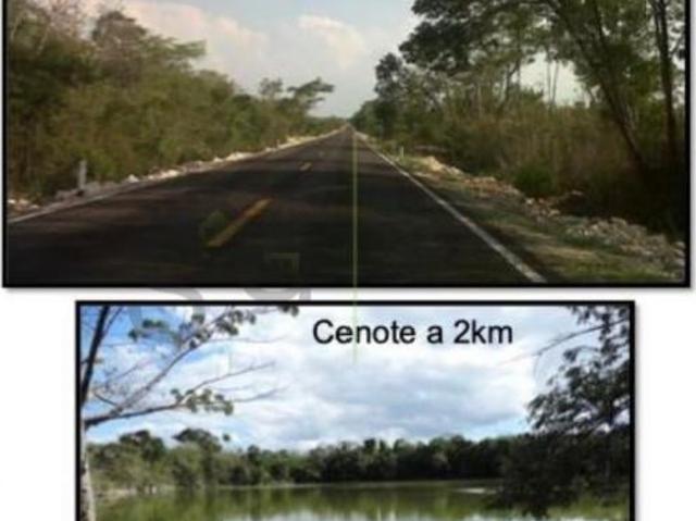 Terreno Yucatán