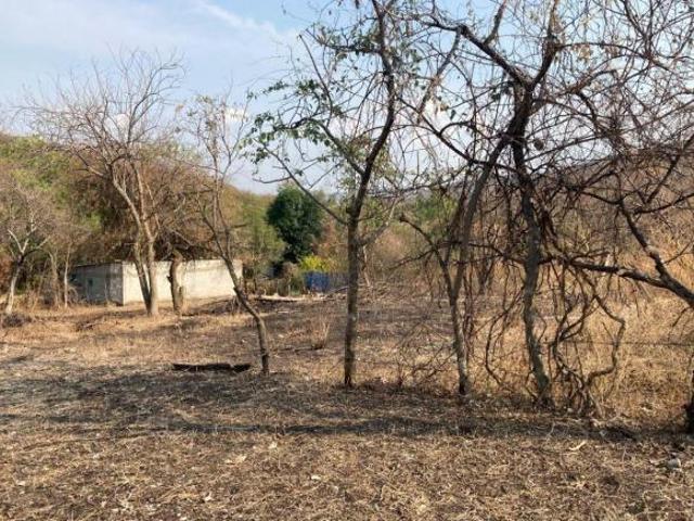 Terreno Yautepec