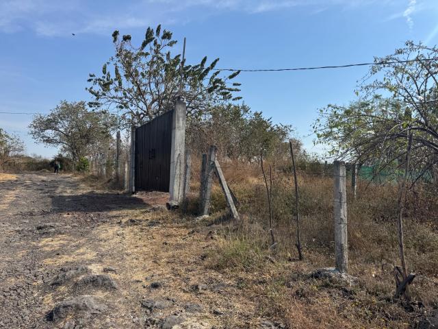 Terreno Yautepec