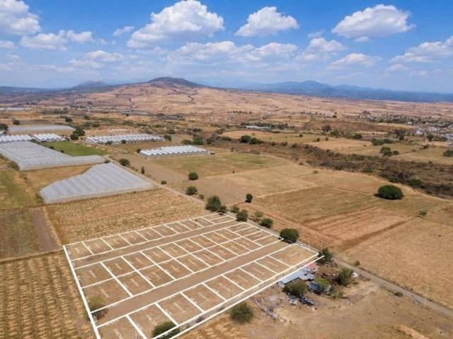 Terreno Yecapixtla