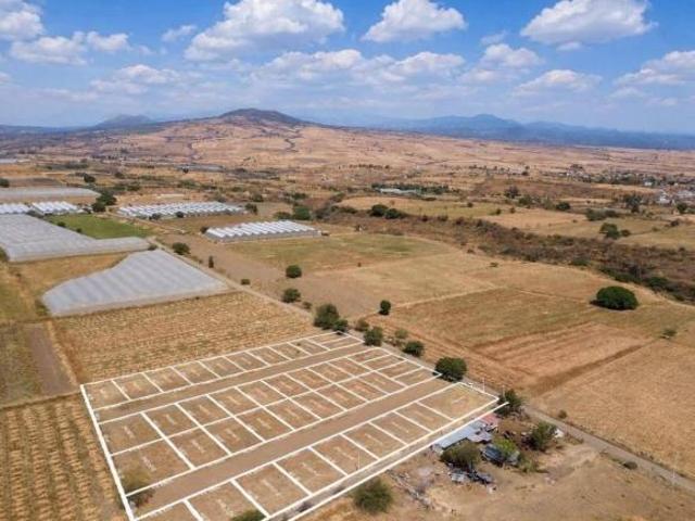 Terreno Yecapixtla