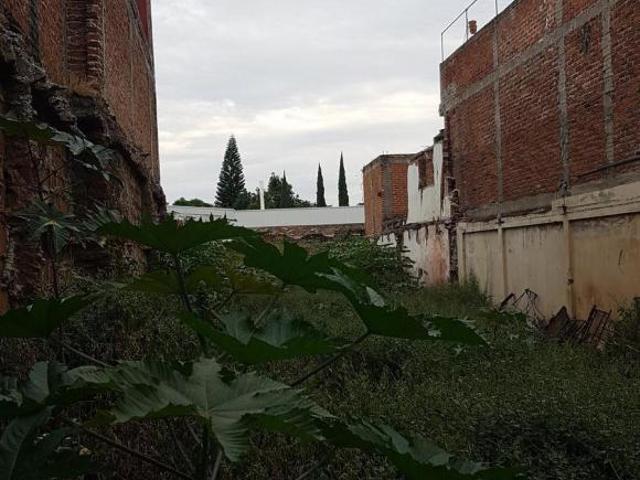 Terreno Zamora de Hidalgo Centro
