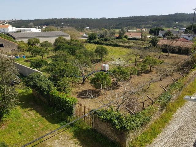 Terreno Zona Leiria