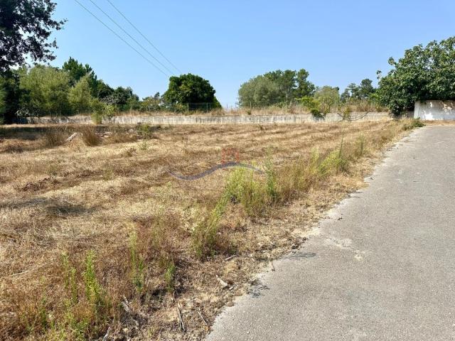 Terreno Zona Souto da Carpalhosa