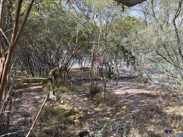 TERRENO ZONA PARQUE FUNDIDORA MONTERREY RENTA
