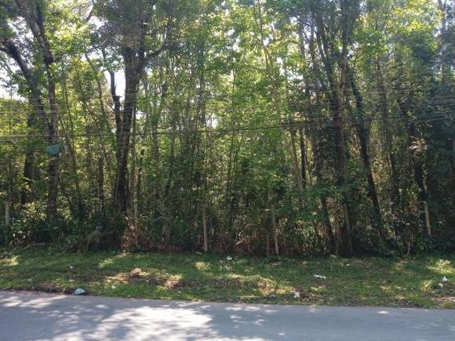 TERRENO ZR2 BAIRRO ABRANCHES 4.147 M²