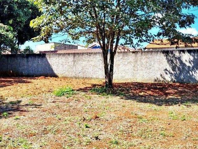 TERRENO,0 Dormitorio s bairro Éden