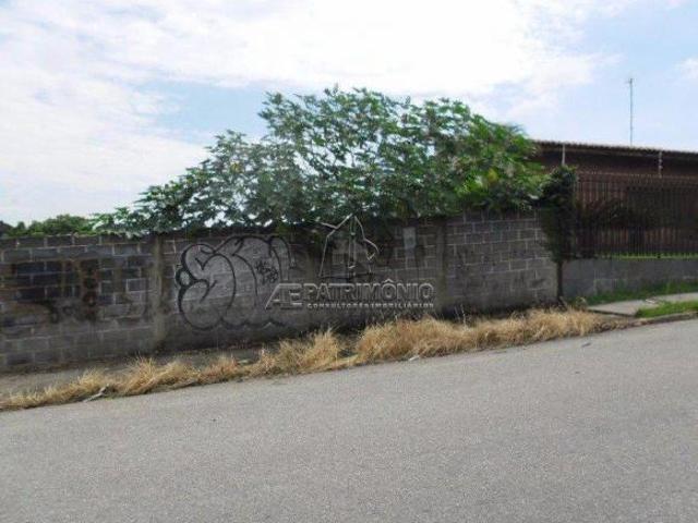 TERRENO,0 Dormitorio s bairro Eltonville