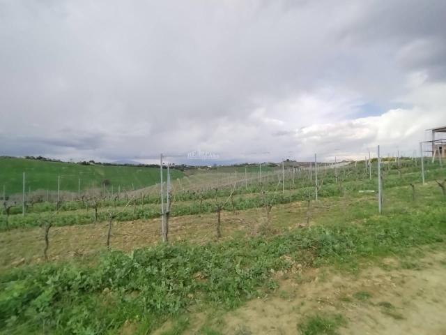 Terreno 0mq