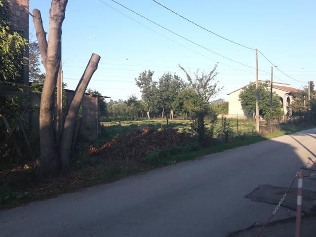 Terreno 1400mq