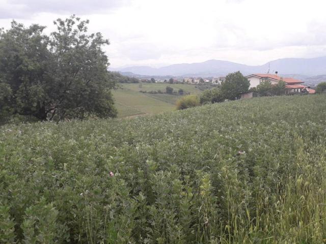 Terreno 14470mq