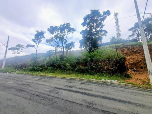 Terreno