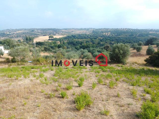 Terreno