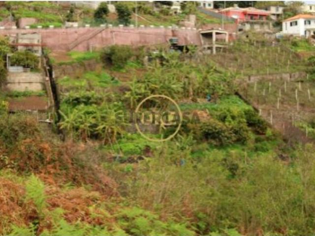 Terreno 1500m2