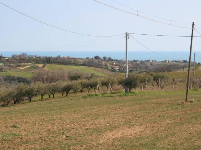 Terreno 1500mq