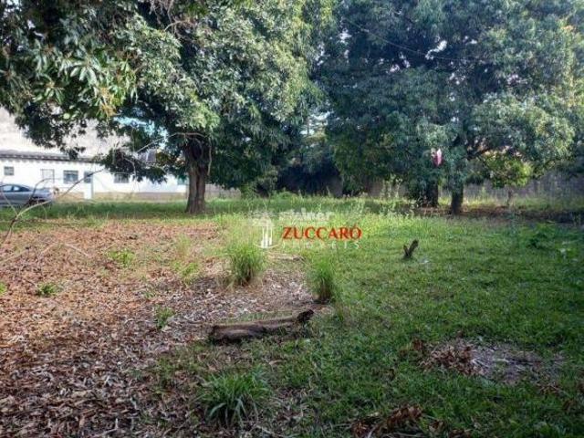 Terreno, 1548 m² venda por R$ 3.200.000,00 ou aluguel por R$ 14.899,99/mês Jardim Cocaia Guaru