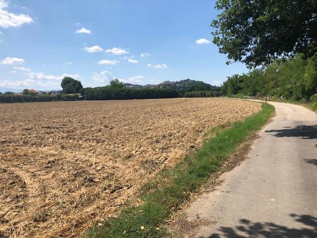 Terreno 15500mq