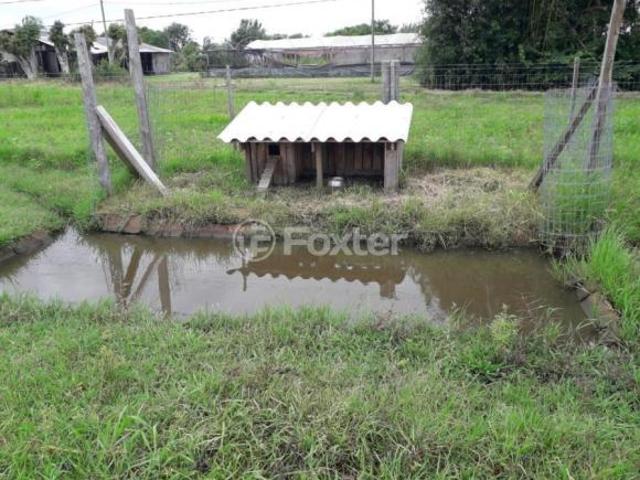 Terreno, 1560 m², em Zona Rural