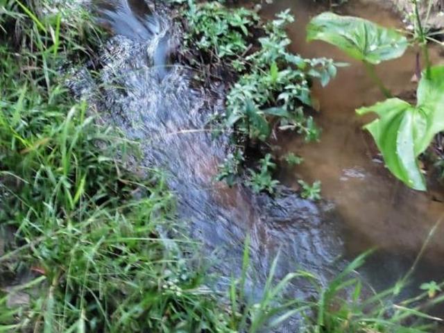 TERRENO 15 HECTARES EM PIEDADE DOS GERAIS/MG