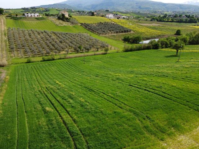 Terreno 16000mq
