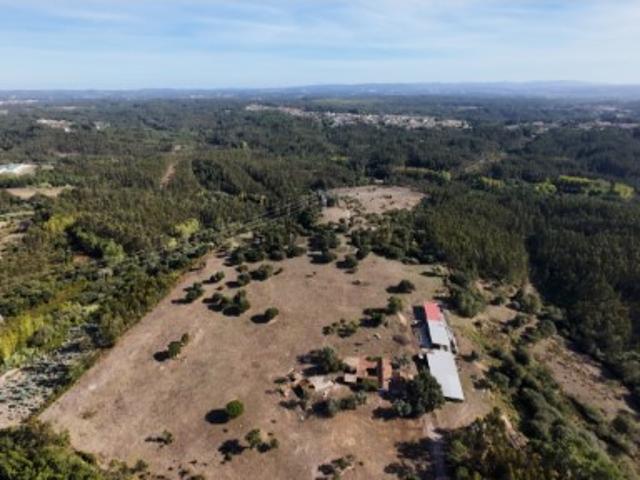 Terreno 161.000 m² com 2 ha urbanizáveis Souto da Carpalhosa
