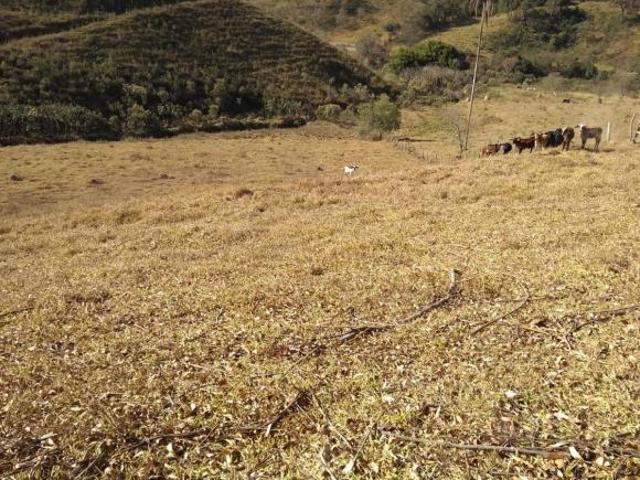 TERRENO 16 HECTARES C/ MUITA ÁGUA À VENDA EM DESTERRO DE ENTRE RIOS/MG