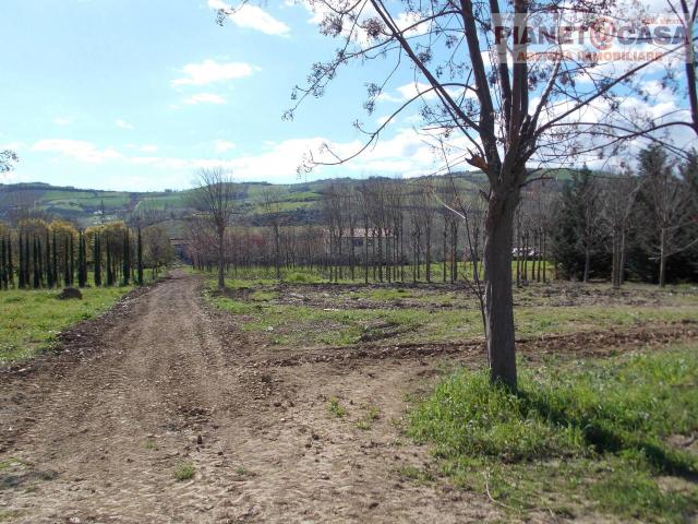 Terreno 17000mq