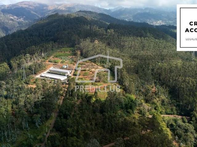 Terreno 17.542 m2 Câmara de Lobos