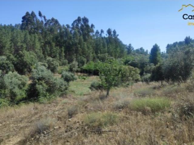 Terreno