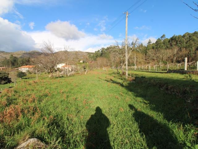 Terreno
