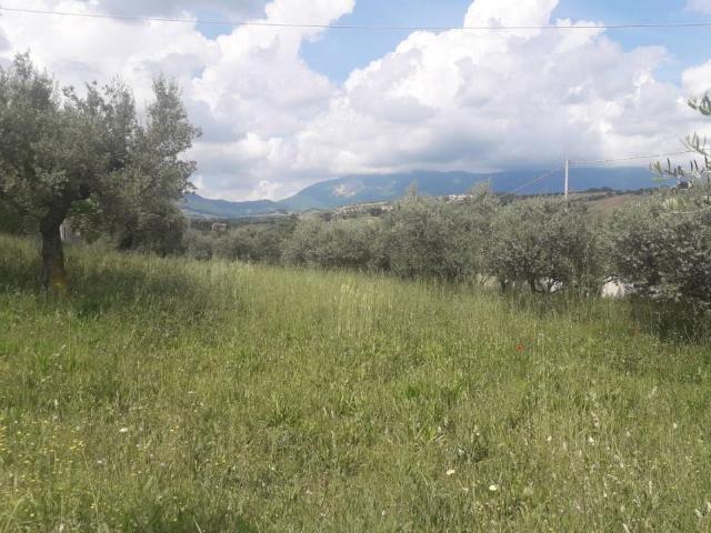 Terreno 1870mq