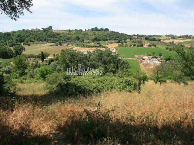 Terreno 19400mq
