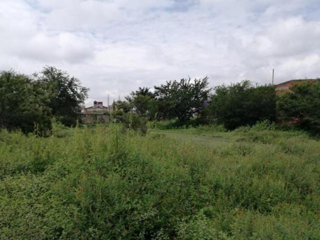 TERRENO 1980 M2 TETELCINGO, CUAUTLA, MORELOS