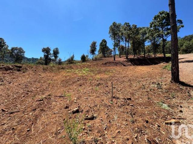 Terreno en Venta 1000m2 Sierra y Valle Valle de Juarez
