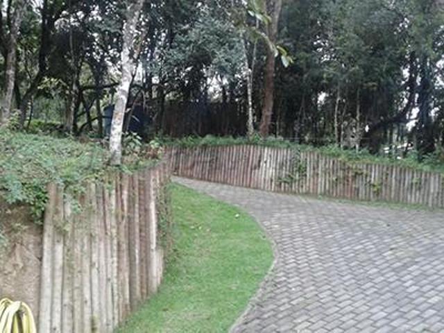 Terreno
