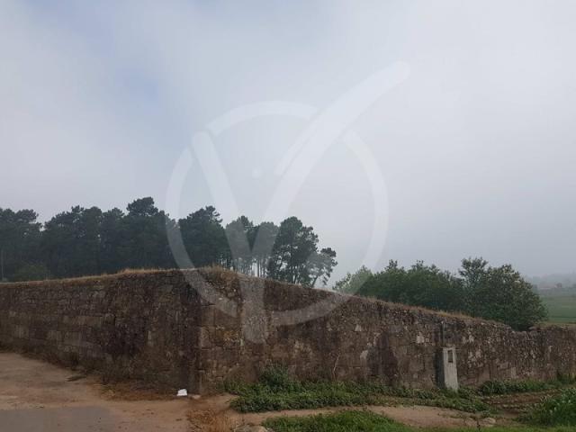 Terreno 10.000 m2