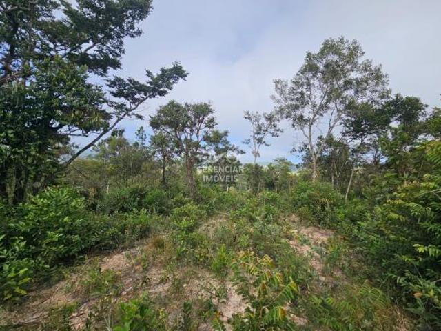 Terreno 10.000m² a venda em Itatiaiuçu MG com Vista espetacular para as montanhas!